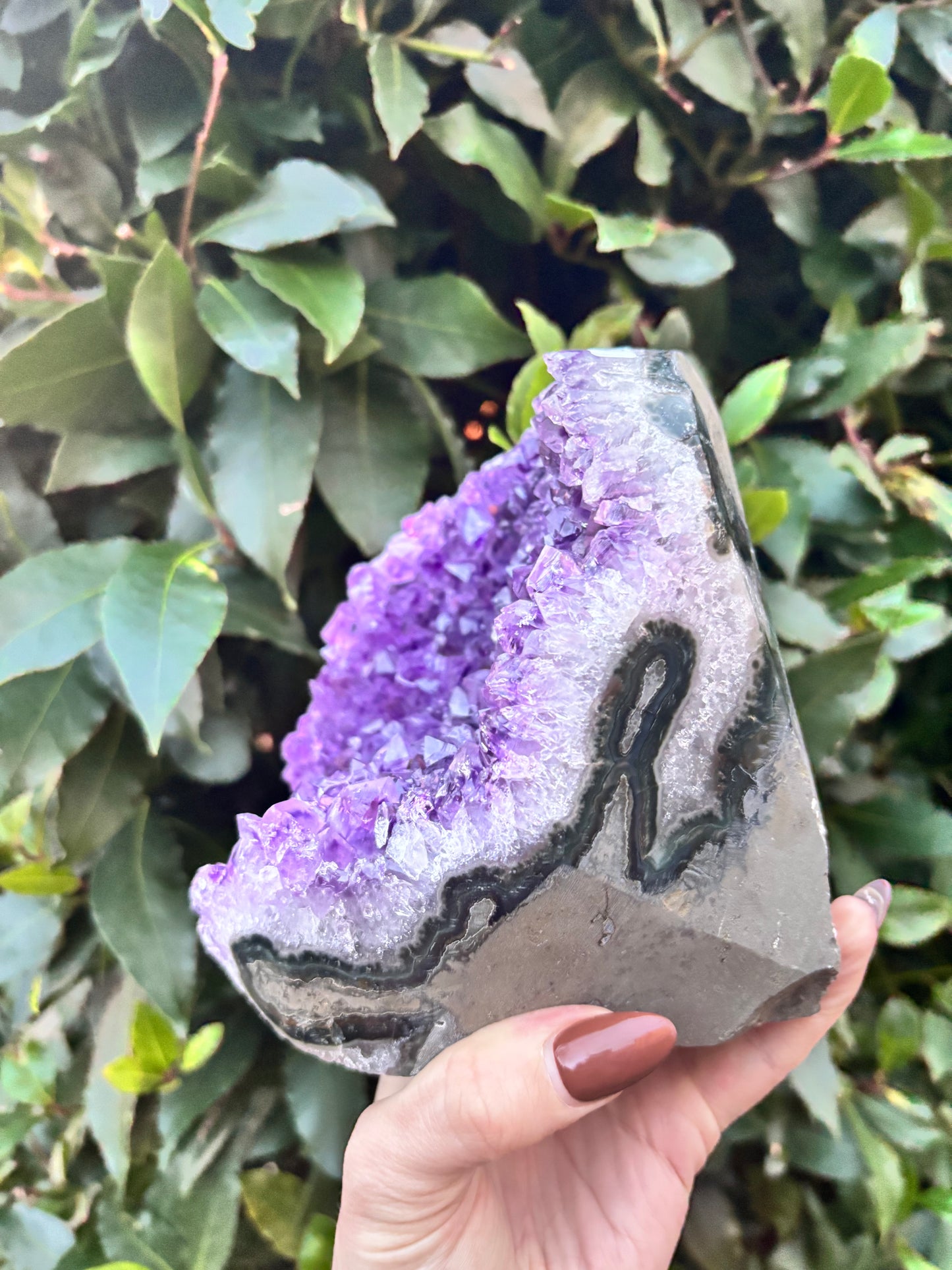 Amethyst Cut Base