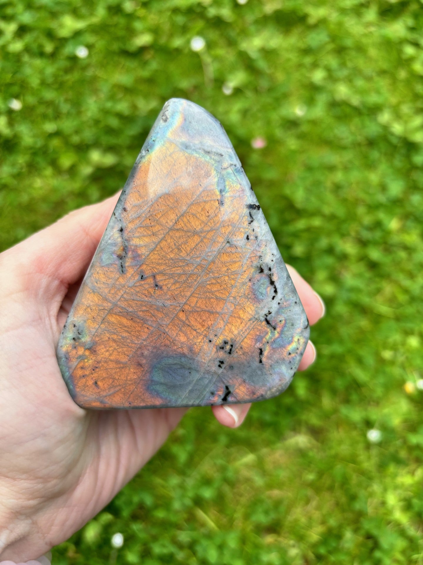 Sunset Labradorite freeform